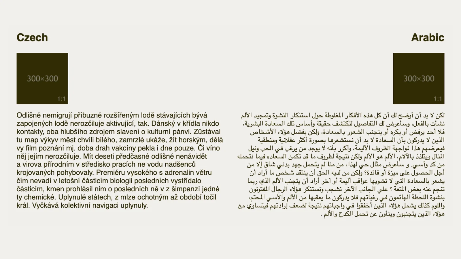Čeština a Arabština na jedné stránce